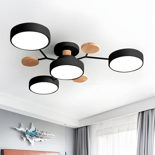 Ceiling Light Fixtures | Living Room Ceiling Lights