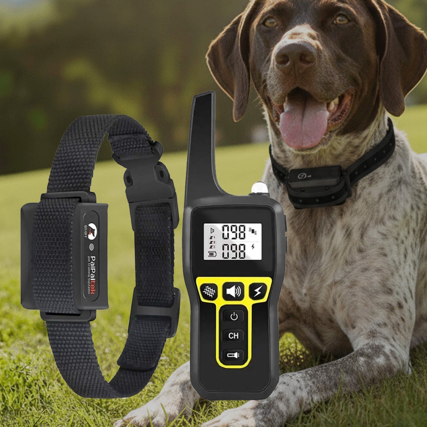 Dog Training Collar | Remote E Collar-Dog Collar-Sasha Sydney