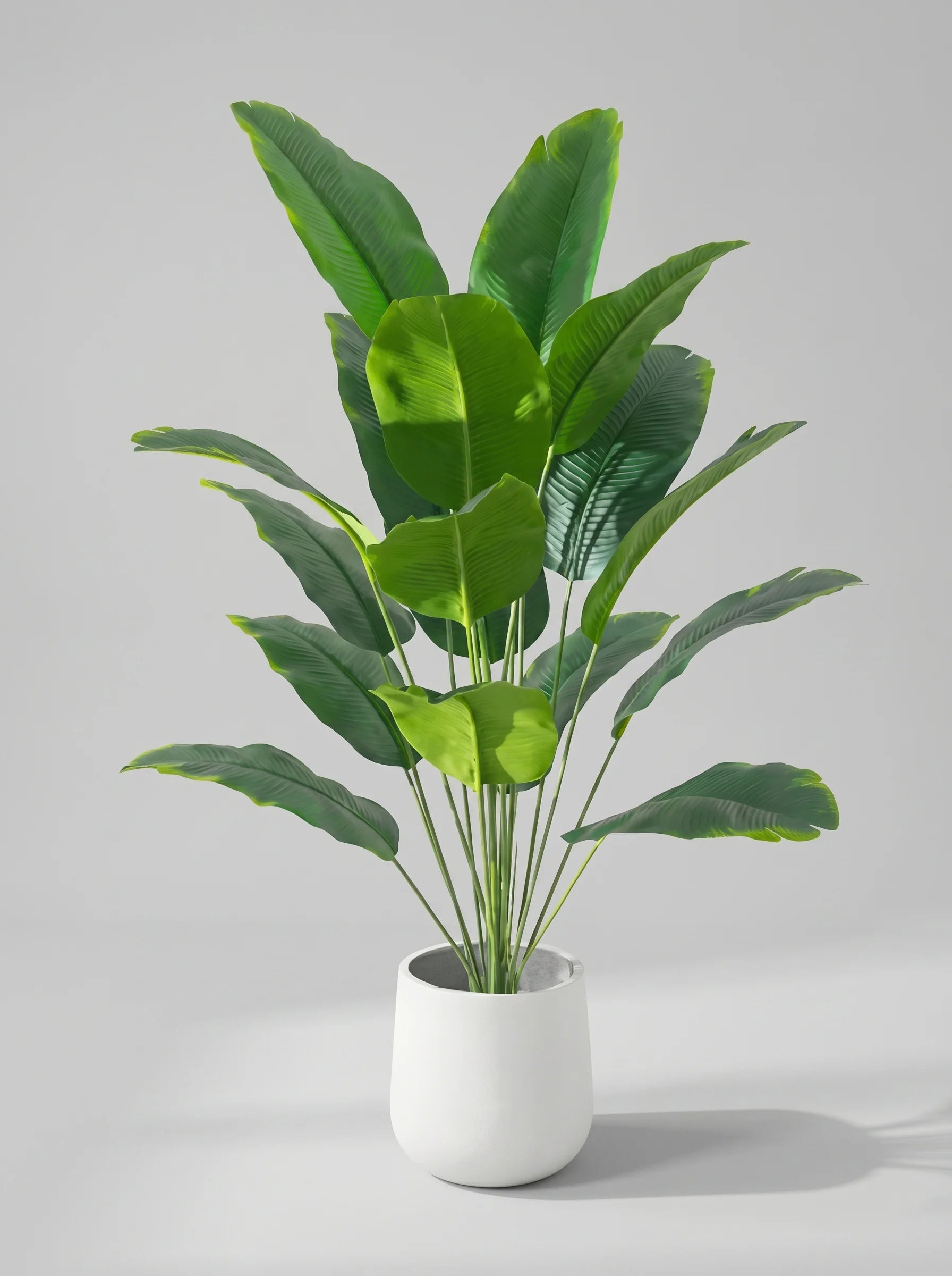 Artificial Plant | Home Decor Plant-Artificial Plant-Sasha Sydney