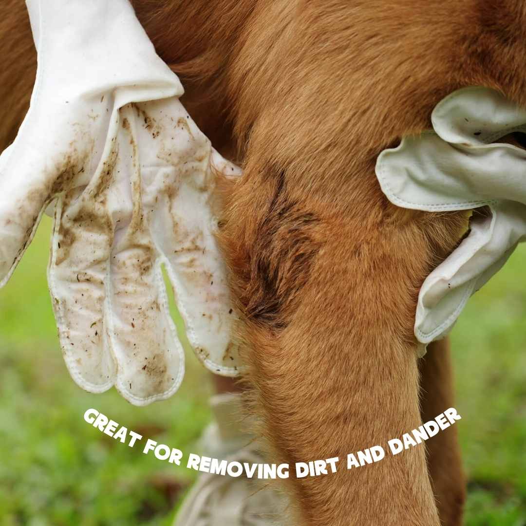 Pet Grooming Gloves | Dog Washing Gloves-Pet Wipes-Sasha Sydney