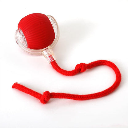 Cat Toy | Interactive Cat Ball Accessory-Cat Toy-Sasha Sydney