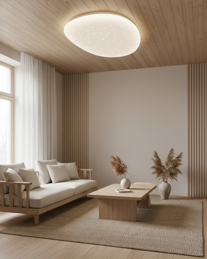 Flush Ceiling Light | LED Ceiling Light-Ceiling Light-Sasha Sydney