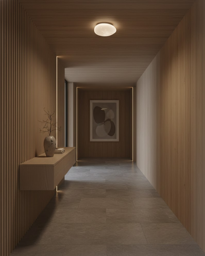 Flush Ceiling Light | LED Ceiling Light-Ceiling Light-Sasha Sydney