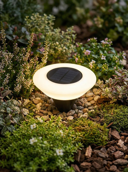 Solar Garden Lights | Weather Resistant Outdoor Path Lighting-Outdoor Light-Sasha Sydney