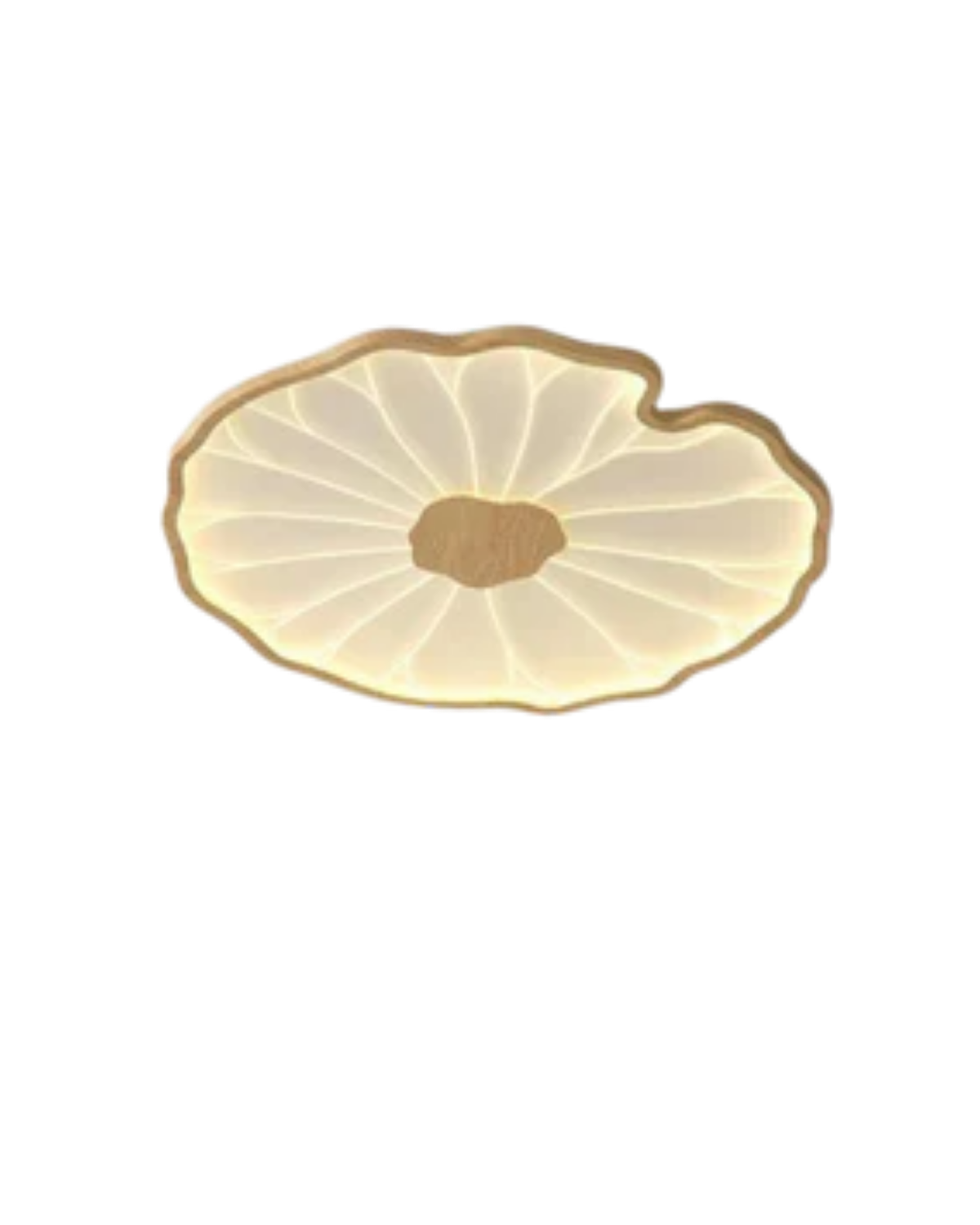 Flush Ceiling Light | Living Room Light-Ceiling Light-Sasha Sydney