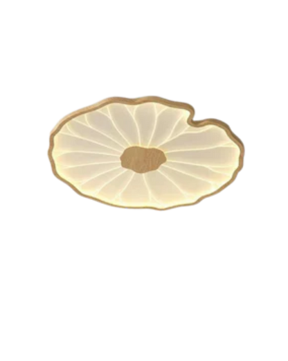 Flush Ceiling Light | Living Room Light-Ceiling Light-Sasha Sydney