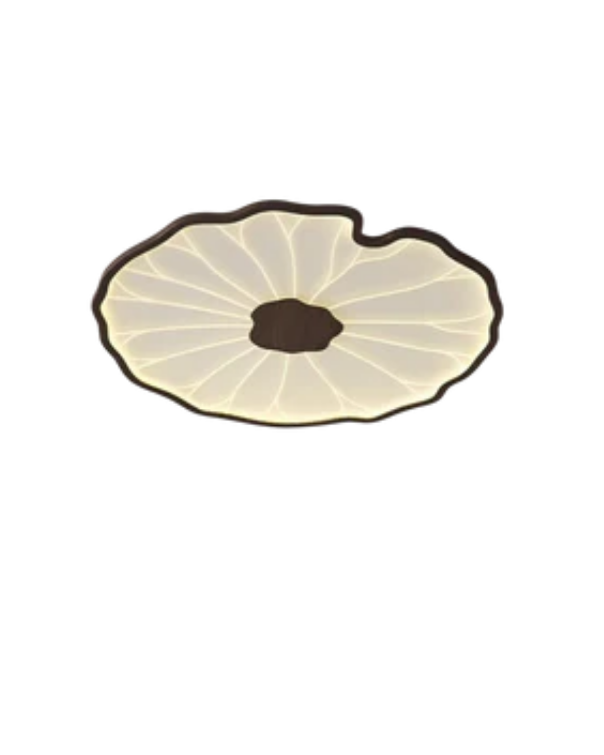 Flush Ceiling Light | Living Room Light-Ceiling Light-Sasha Sydney