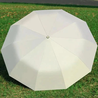 Compact Folding Umbrella | Wind Resistant Everyday Travel-Umbrella-Sasha Sydney