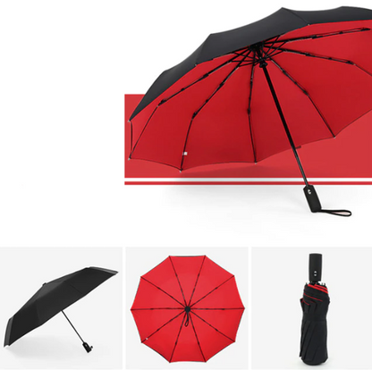 Compact Folding Umbrella | Windproof Large Coverage Rainy Days-Umbrella-Sasha Sydney