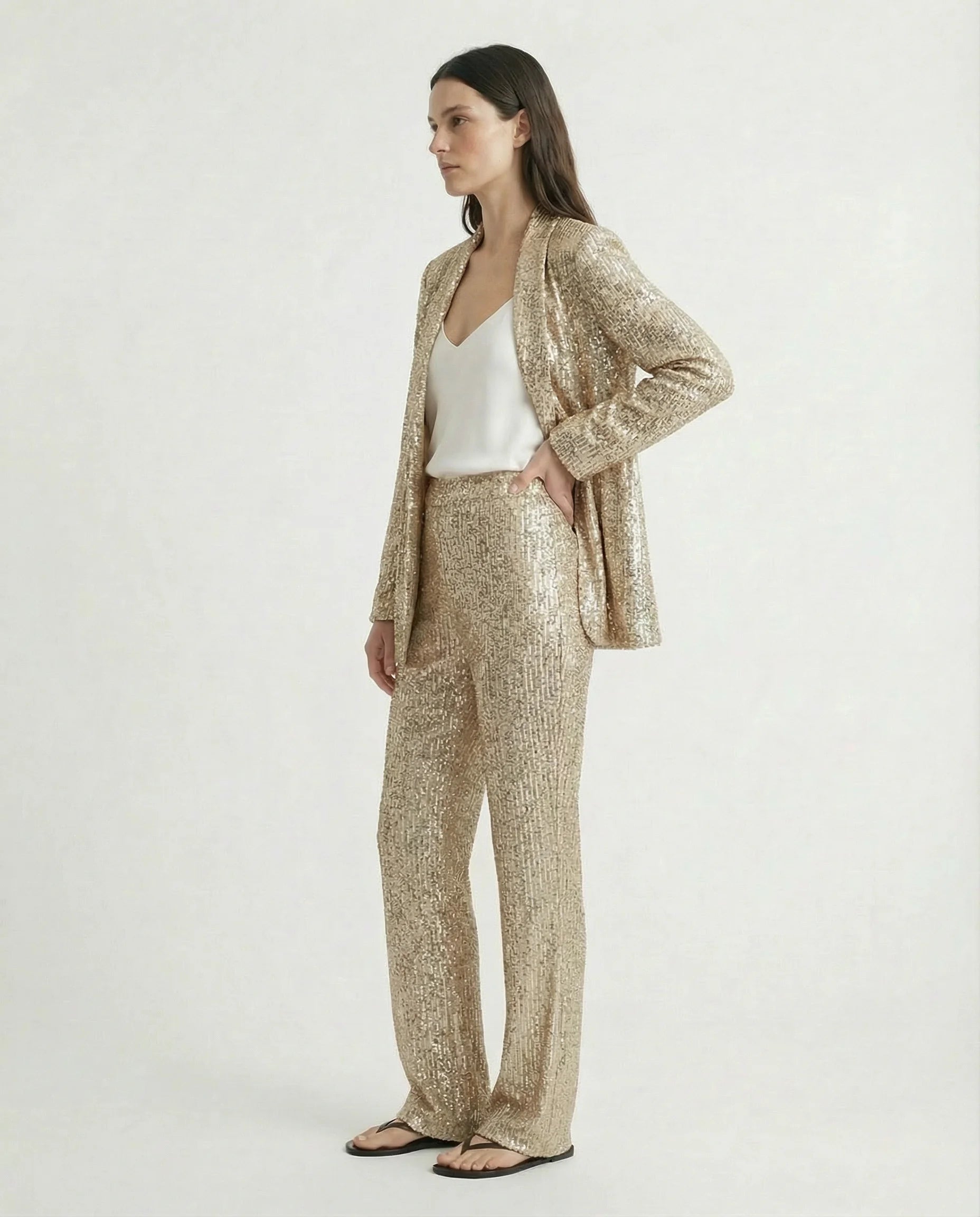 Women's Elegant Pantsuit | Two Piece Design Formal Occasion-Women Pantsuit-Sasha Sydney