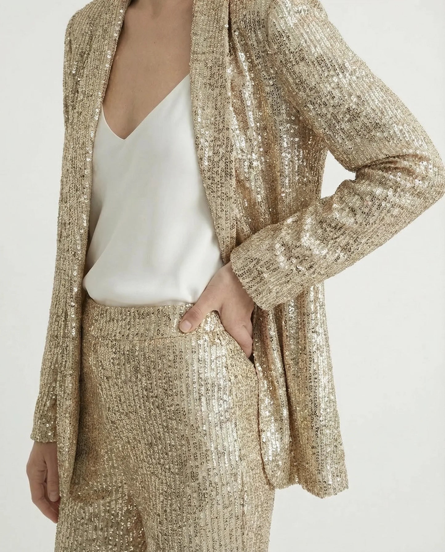 Women's Elegant Pantsuit | Two Piece Design Formal Occasion-Women Pantsuit-Sasha Sydney