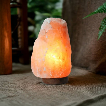 Himalayan Salt Lamp | Warm Glow Relaxing Ambience-Table Lamp-Sasha Sydney