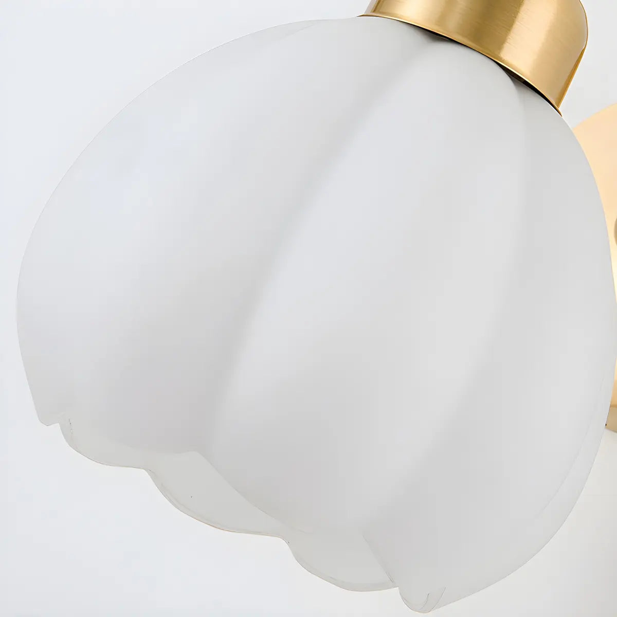 Modern Flower Shade Wall Lamp | Curved Arm Wall Light Interior Lighting-Wall Lamp-Sasha Sydney