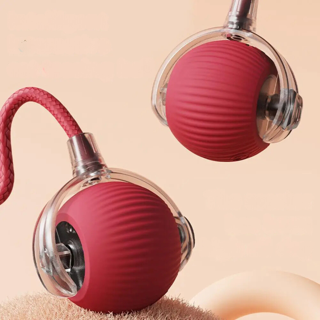 Cat Toy | Interactive Cat Ball Accessory-Cat Toy-Sasha Sydney