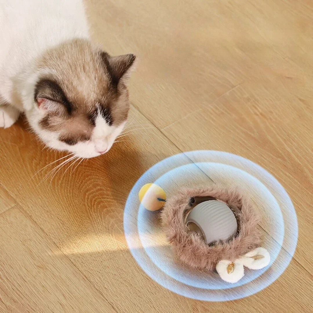 Cat Toy | Interactive Cat Ball Accessory-Cat Toy-Sasha Sydney