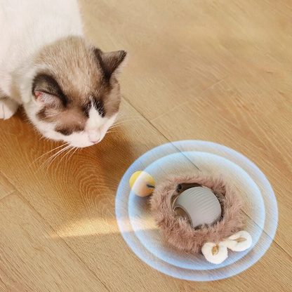 Cat Toy | Interactive Cat Ball Accessory-Cat Toy-Sasha Sydney