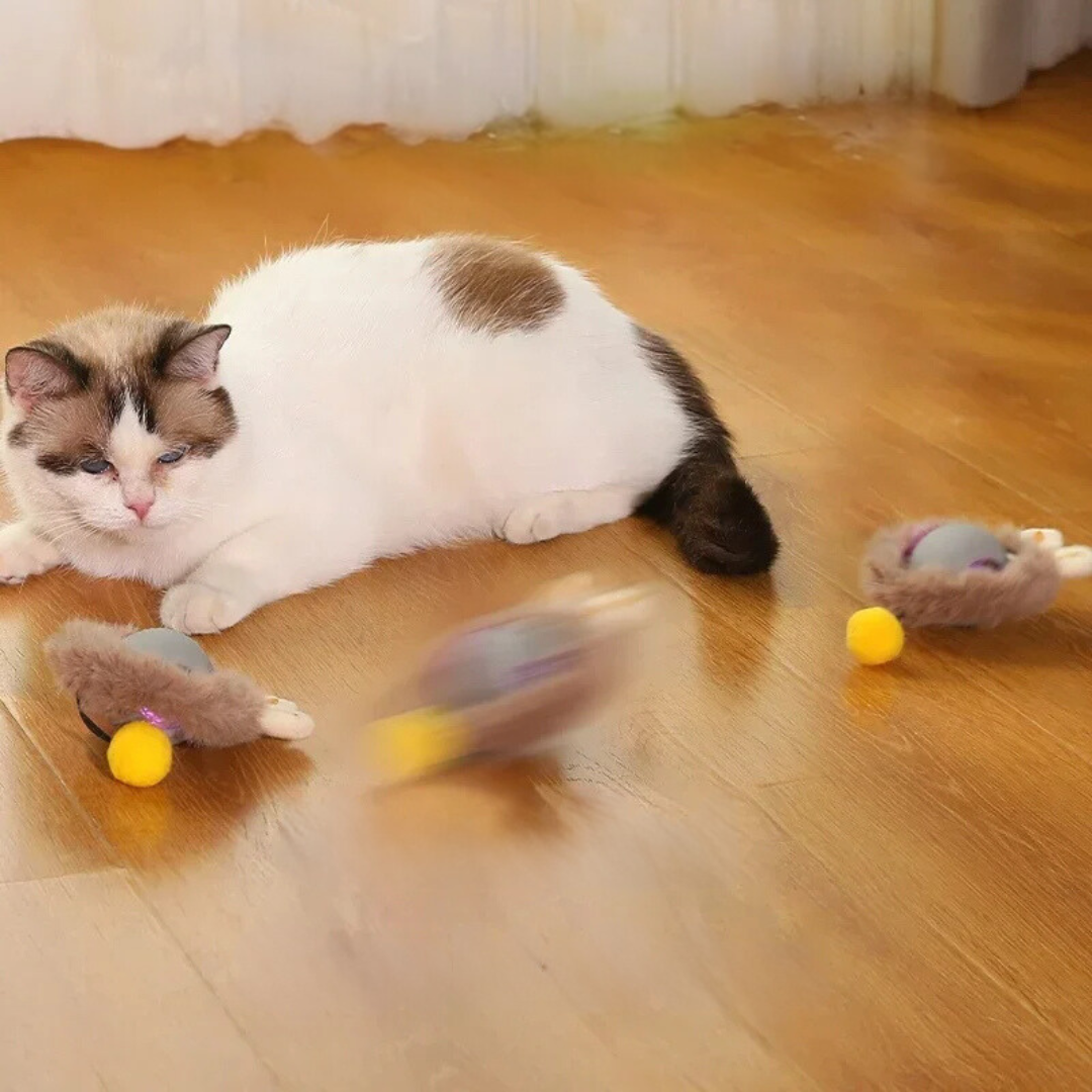 Cat Toy | Interactive Cat Ball Accessory-Cat Toy-Sasha Sydney