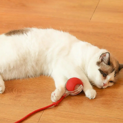 Cat Toy | Interactive Cat Ball Accessory-Cat Toy-Sasha Sydney