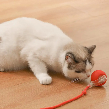 Cat Toy | Interactive Cat Ball Accessory-Cat Toy-Sasha Sydney