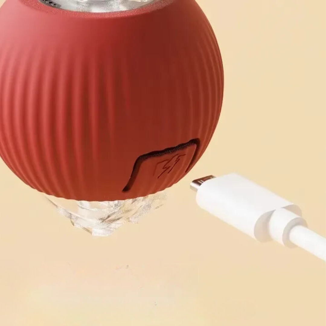 Cat Toy | Interactive Cat Ball Accessory-Cat Toy-Sasha Sydney