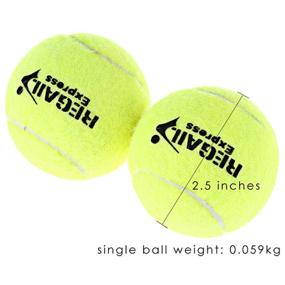 Tennis Balls With Carry Bag | Practice Ball Set Sports Training-Tennis Ball-Sasha Sydney